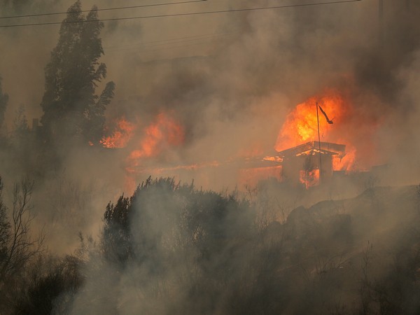 houses burn amid the spread of wildfires in vina del mar