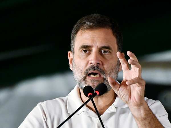 rahul gandhi addresses an election rally in new delhi