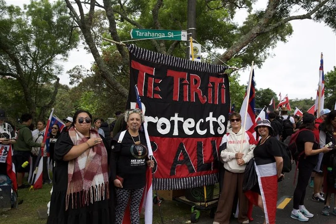 maori protest 7