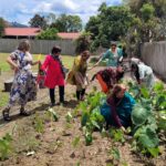 Indian High Commissioner and Rotorua Mayor to jointly Launch Community Garden and Sustainability Initiative at Hindu Heritage Centre