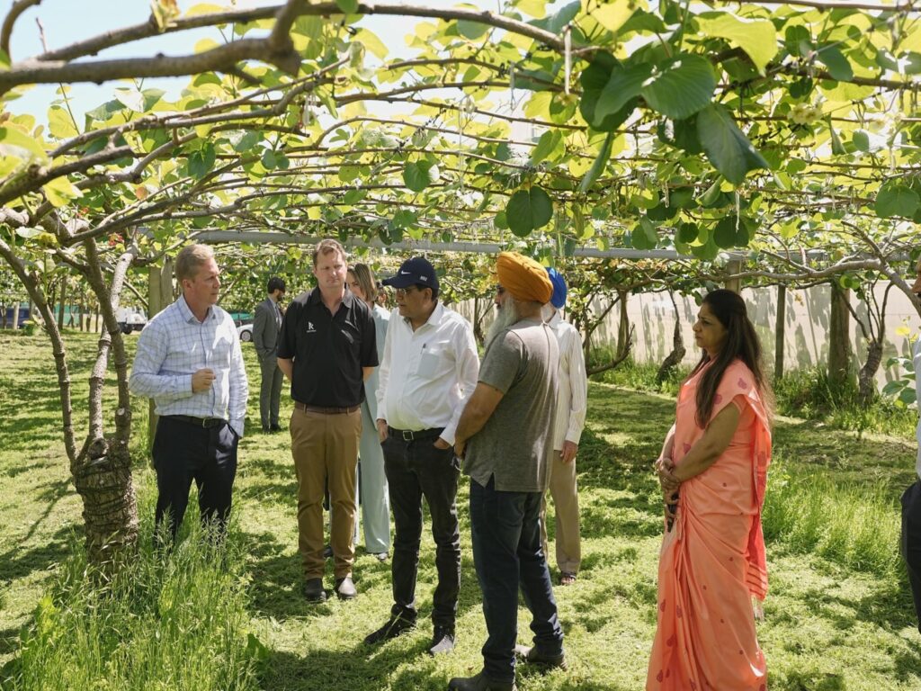 NZ agricultural scientists India kiwifruit supply chain The Future Outlook: A Year-Round Global Orchard