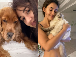 “You are forever loved…”: Disha Patani mourns loss of beloved pets Bella, Jasmine; shares emotional tributes