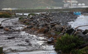 Waves up to 11 metres hit Wellington’s coast, residents evacuate 2:23 pm today